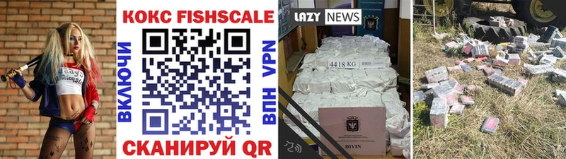 Кокаин Fish Scale  мега маркетплейс  Нестеровская 