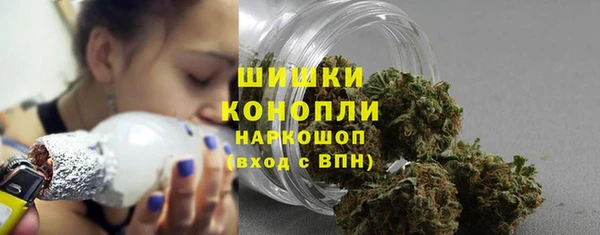 МДПВ Липки