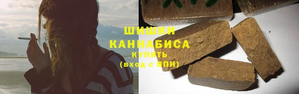 прущие грибы Кулебаки