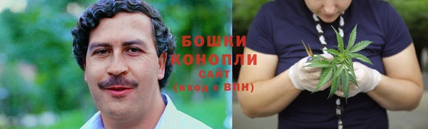 МДПВ Липки