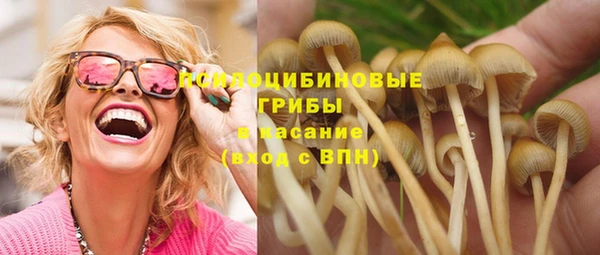 МДПВ Липки