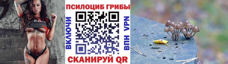 купить наркотики сайты  Нестеровская  Галлюциногенные грибы GOLDEN TEACHER 