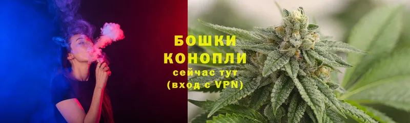 Бошки марихуана Ganja  Нестеровская 